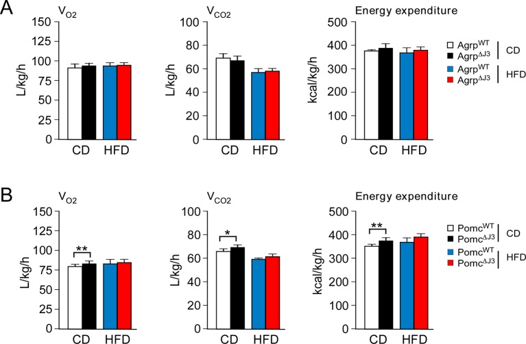 Figure 5—figure supplement 1.