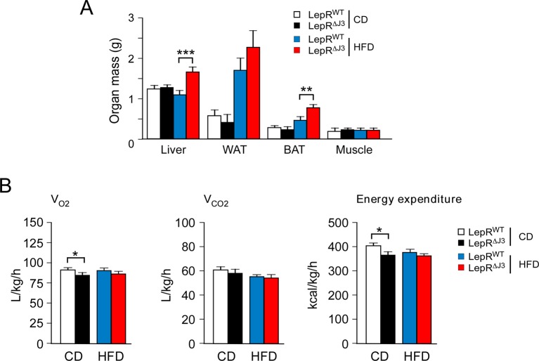 Figure 4—figure supplement 2.