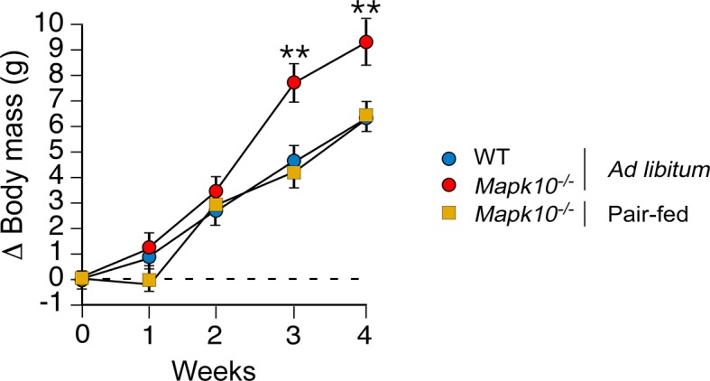 Figure 1—figure supplement 3.