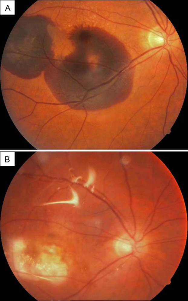 Figure 3.