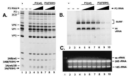 FIG. 6