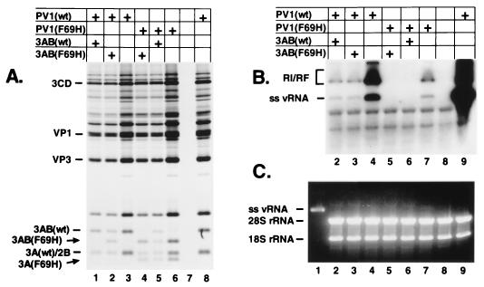 FIG. 3