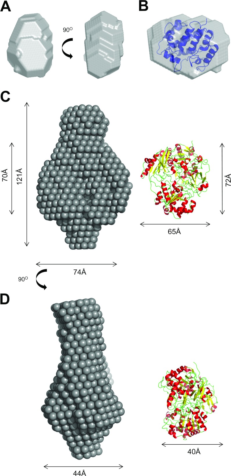 Figure 7