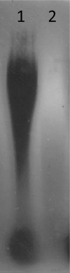 FIG 1