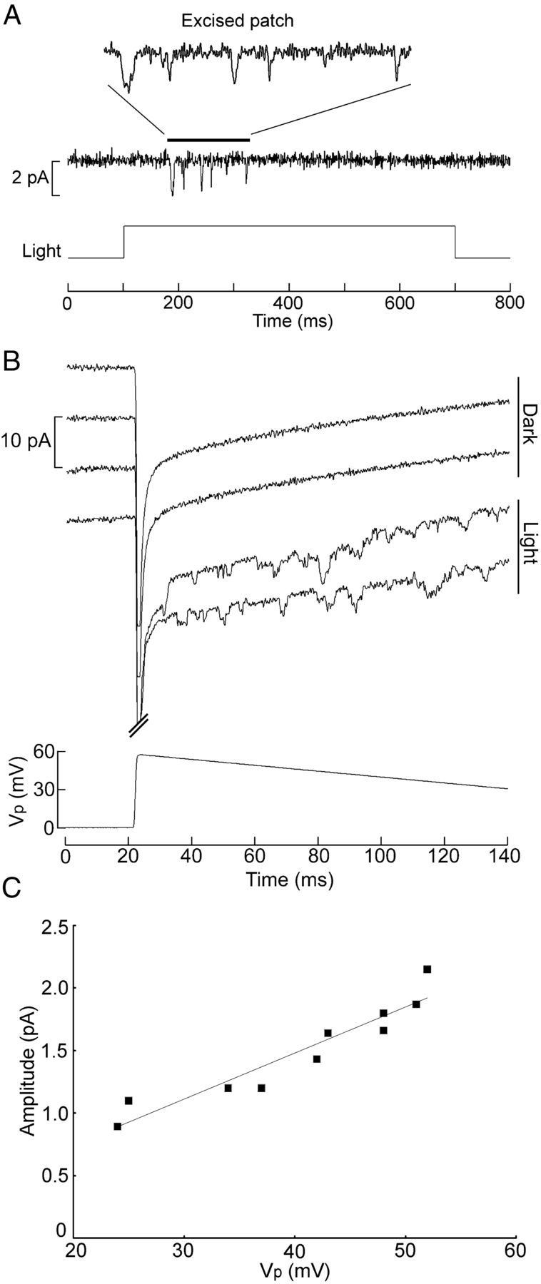 Figure 5.