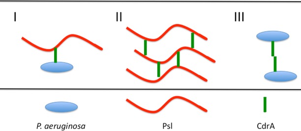 FIG 1