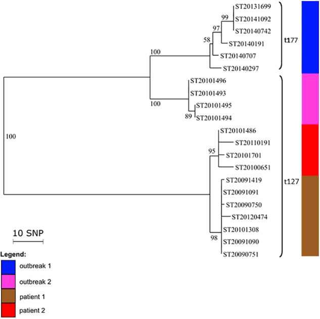 FIGURE 2