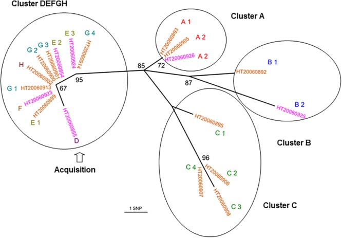 FIGURE 3