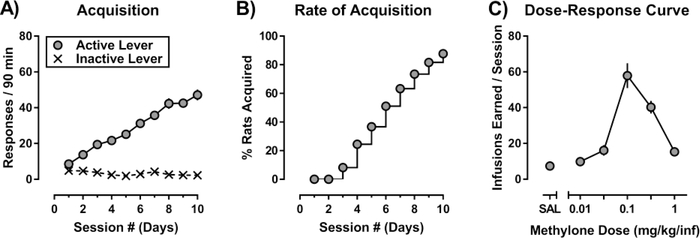 Figure 1: