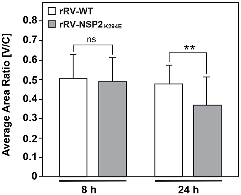 Fig. 9