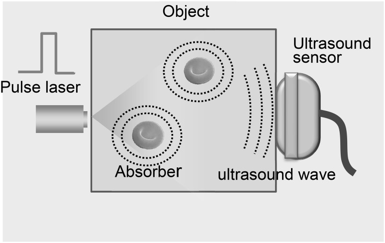 Fig. 1