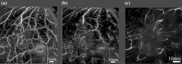 Fig. 7