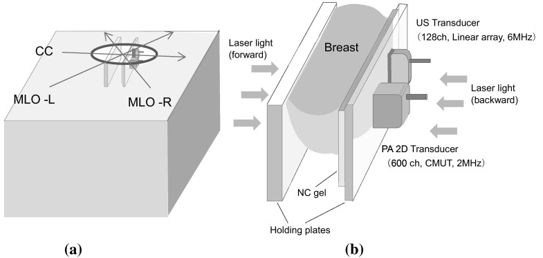 Fig. 2