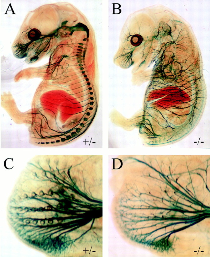 Fig. 5.