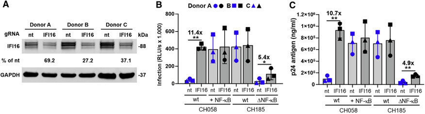 Figure 6.