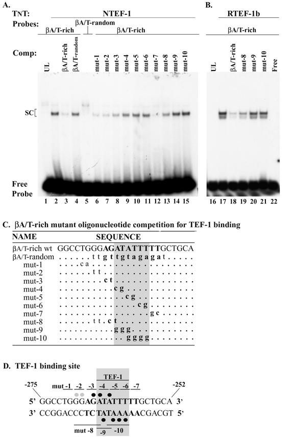 FIG.3.