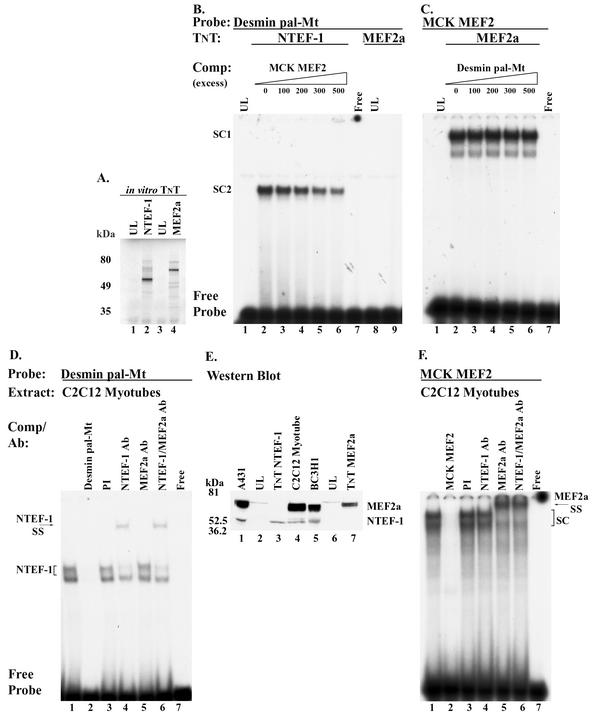 FIG. 9.