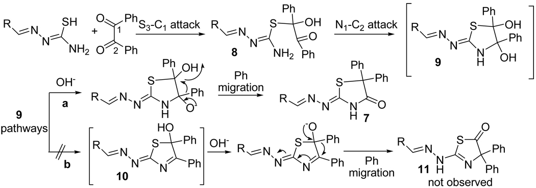 Scheme 5