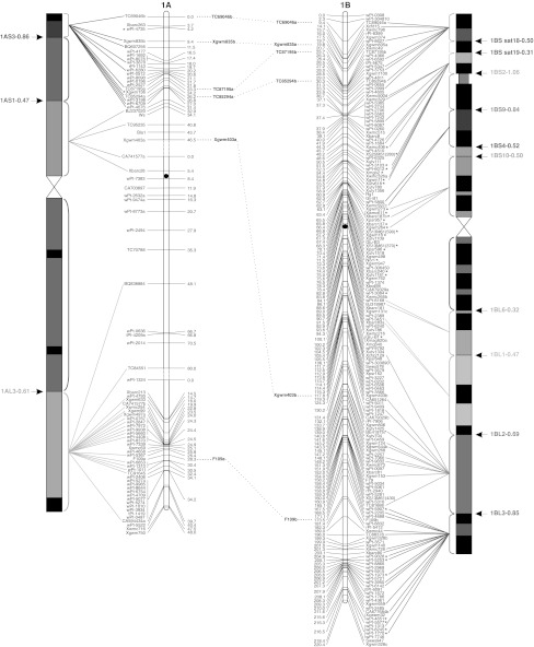 Fig. 1