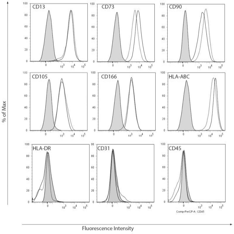 Figure 2A