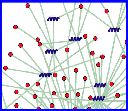 microRNA gene networks