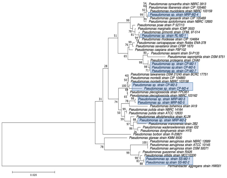 Figure 2