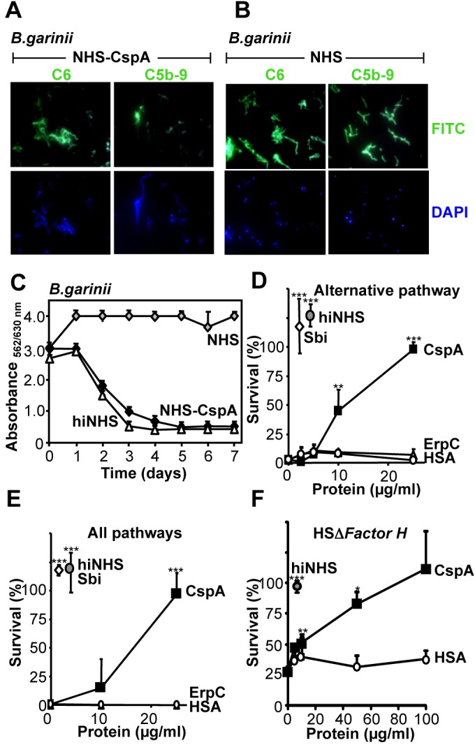 FIG 6 