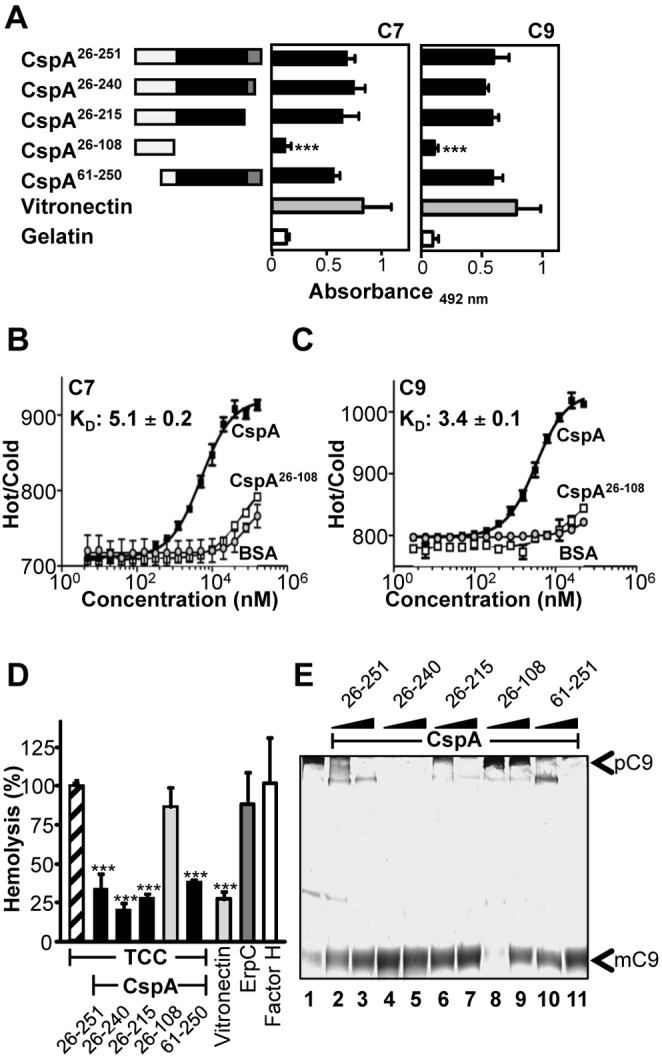 FIG 5 