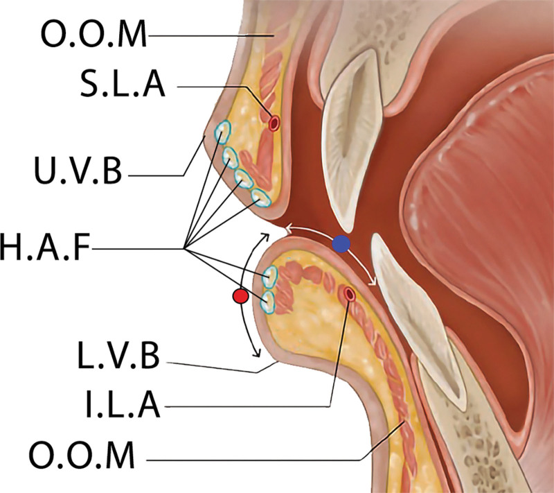 Fig. 2.