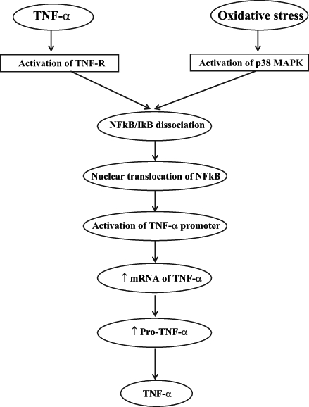 Figure 4)