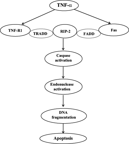 Figure 2)