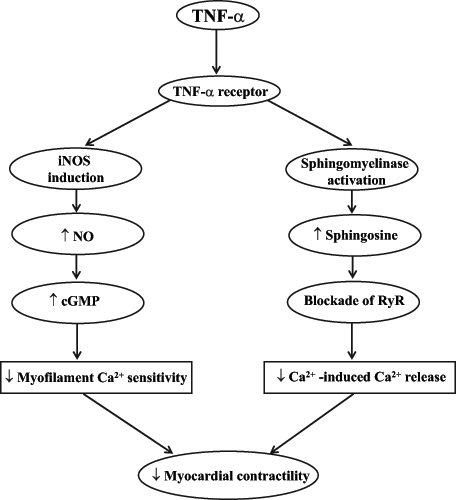 Figure 1)