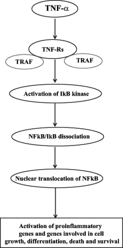 Figure 3)