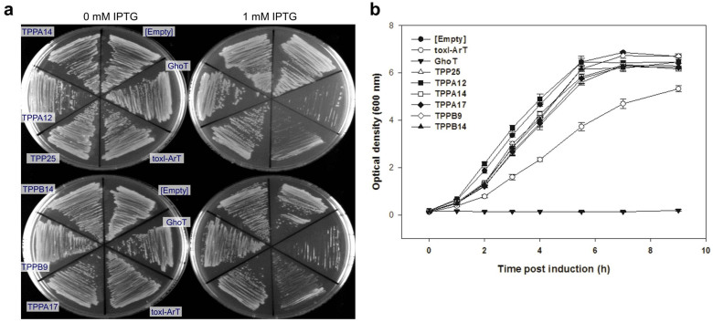 Figure 5