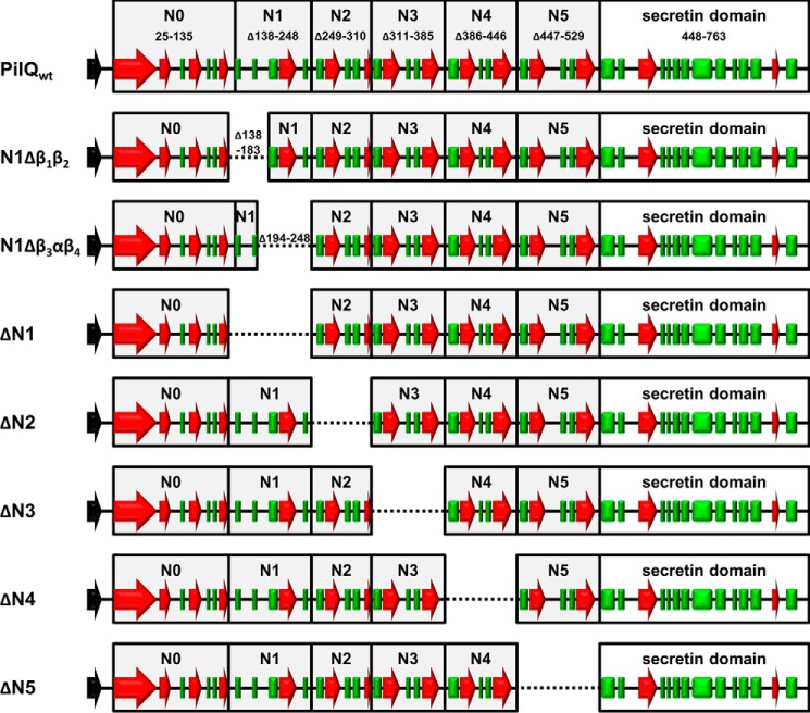 FIGURE 1.