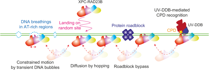 Figure 6.