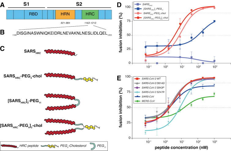 Figure 1: