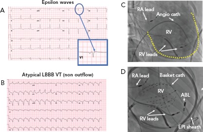 Figure 3: