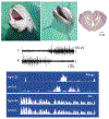 Figure 3 |