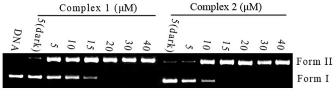 Figure 9