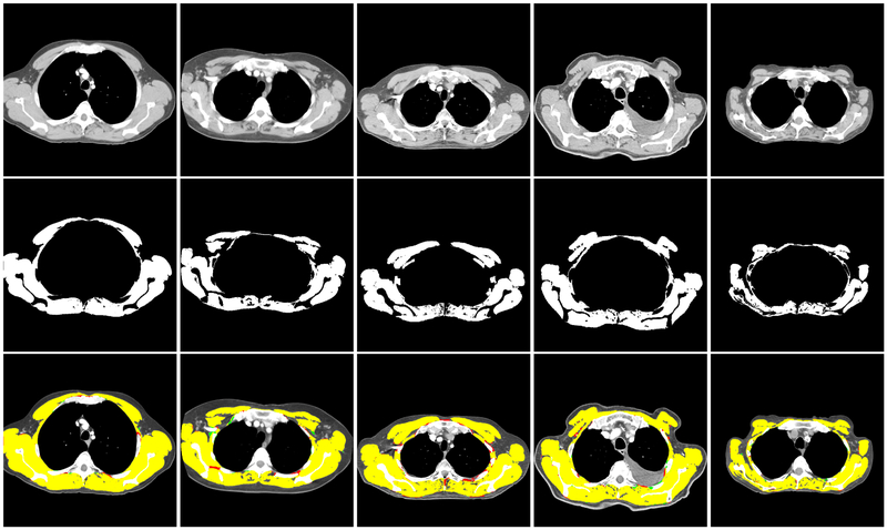 Figure 6: