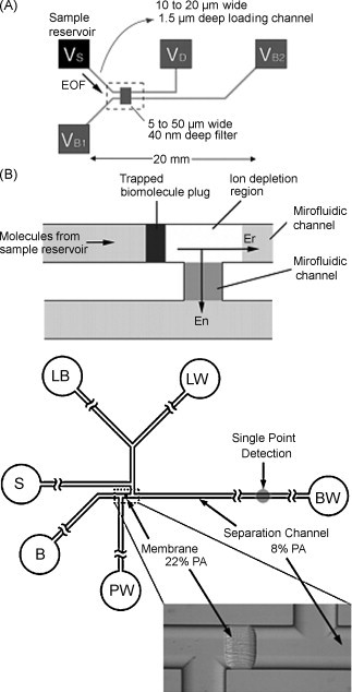 Fig. 12