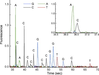 Fig. 9