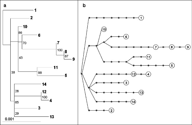 Fig. 3.