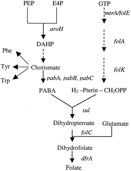 FIG. 1.