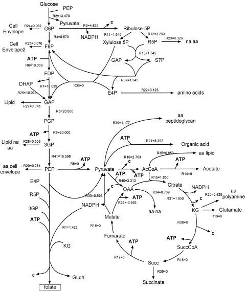 FIG. 3.