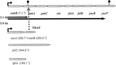 FIG. 2.