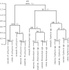 Figure 3.