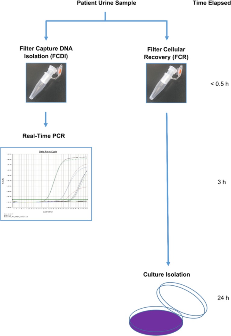 FIG 1