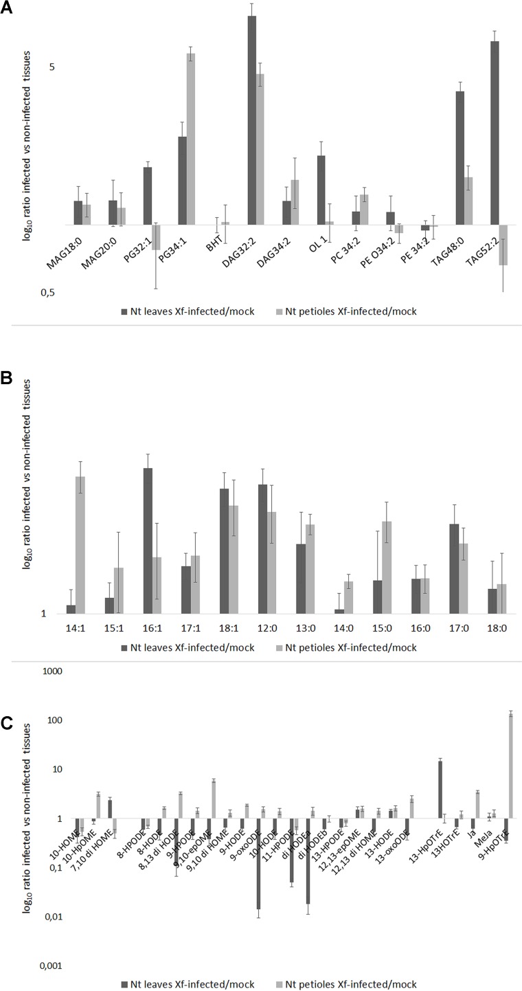 FIGURE 4